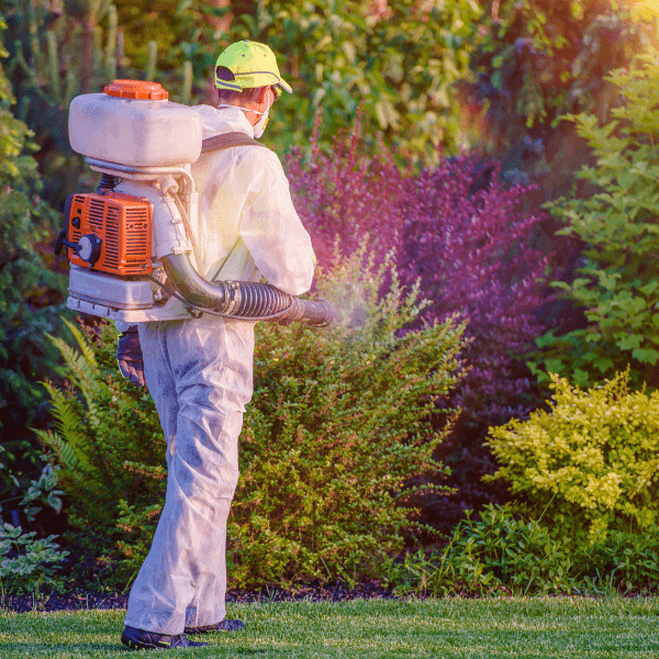 pest control statistics - Ticks and Tick-Bite Prevention Tips - pest control technician spraying pesticide outdoors
