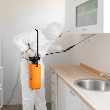 pest removal st catharines - Signs That You May Have a Pantry Pest Problem - a pest conrol tecnician spraying under the top kitchen cabinets