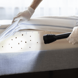 bed bug treatment niagara region - hand lifting bed covers exposing bedbug infestation with a flashlight