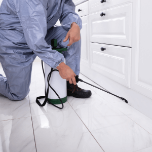 Mississauga pest control companies