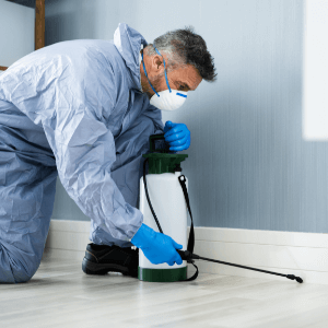 Commercial Pest Control in St Catharines